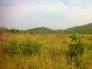 First Piece of land that we saw and loved. $11, 200 to buy it and have it cleared. It had access to a well, no electricity, five kilometers to the main road and was unable to be flooded during the wet season.