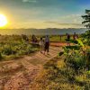 Sustainability & Leadership Internships Abroad Summer Program 2020