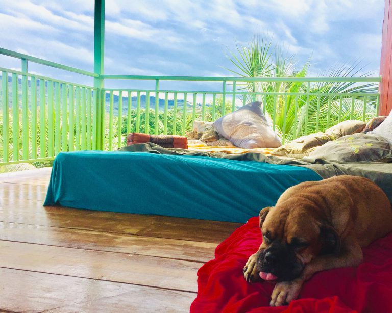 Home Office in the Cambodian Countryside